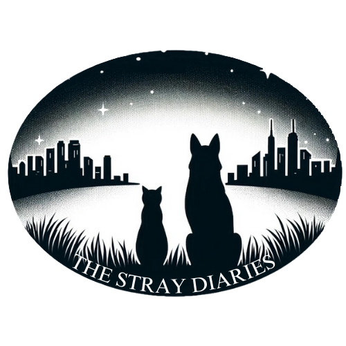 Silhouette of a dog and a cat sitting together on a grassy hill, overlooking a city skyline under a starry night sky, with the text "The Stray Diaries" below.