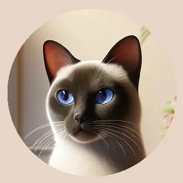 Portrait of Madame Mystique, a sophisticated Siamese cat with striking blue eyes, featured on The Stray Diaries Blog